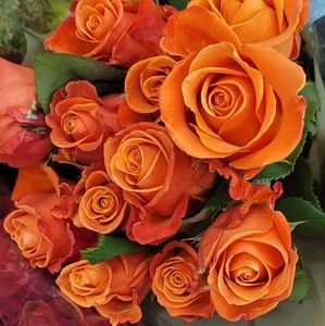 Meet your Posher, Denisse